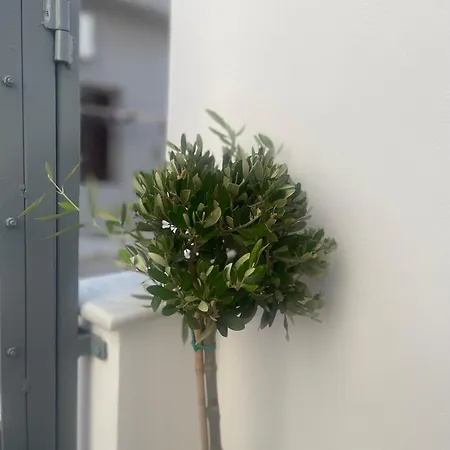 Aetheria Semesterbostad Ermoupoli