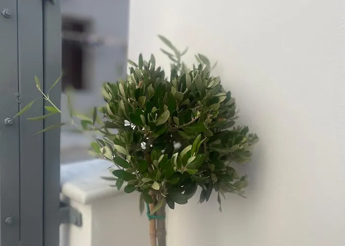 Aetheria Ferienhaus Ermoupoli